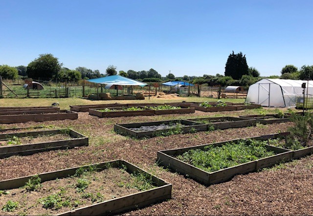 Park Community School Farm - View 5