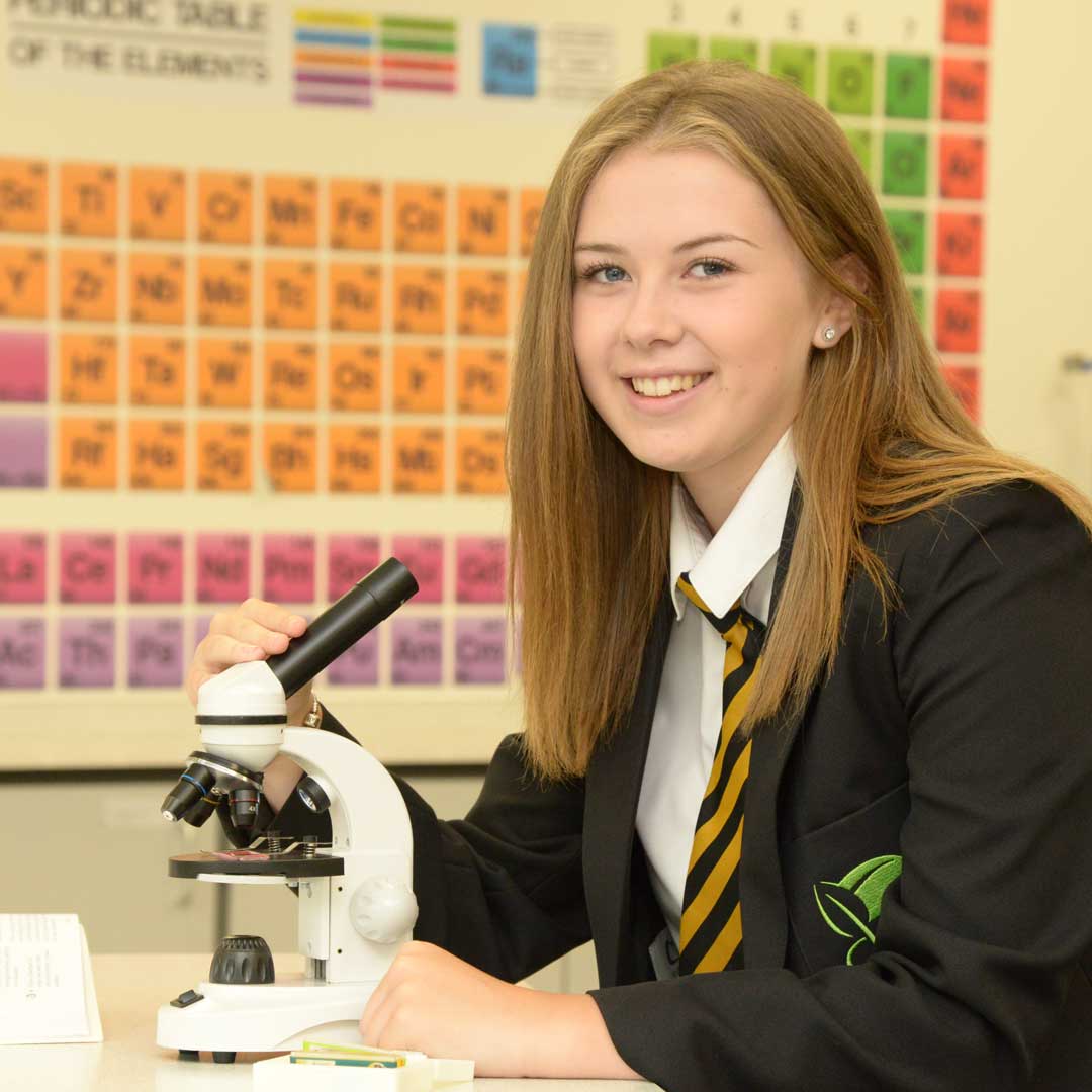 Park Community School - A Hive of Education